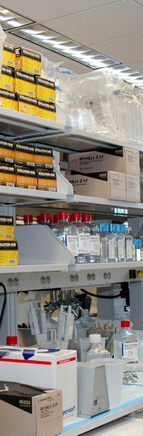 Hygienische Rohrleitungsverbindungen in der Pharmaproduktion: Grundlagen, Normen und Auswahlkriterien