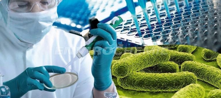 Envirochemie übernimmt Letzner