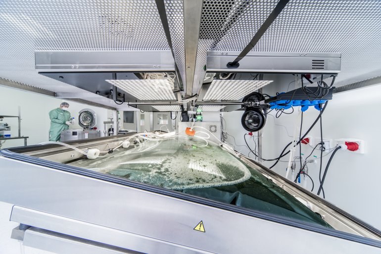 Greenovation experimentiert mit Moos